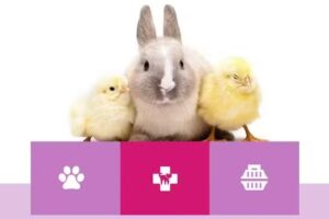 CLÍNICA VETERINARIA BARBIE