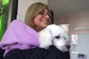 Clinica Veterinaria Bar&oacute;n De Juras Reales