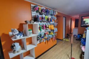 Clinica Veterinaria Bonitos y Gorditos