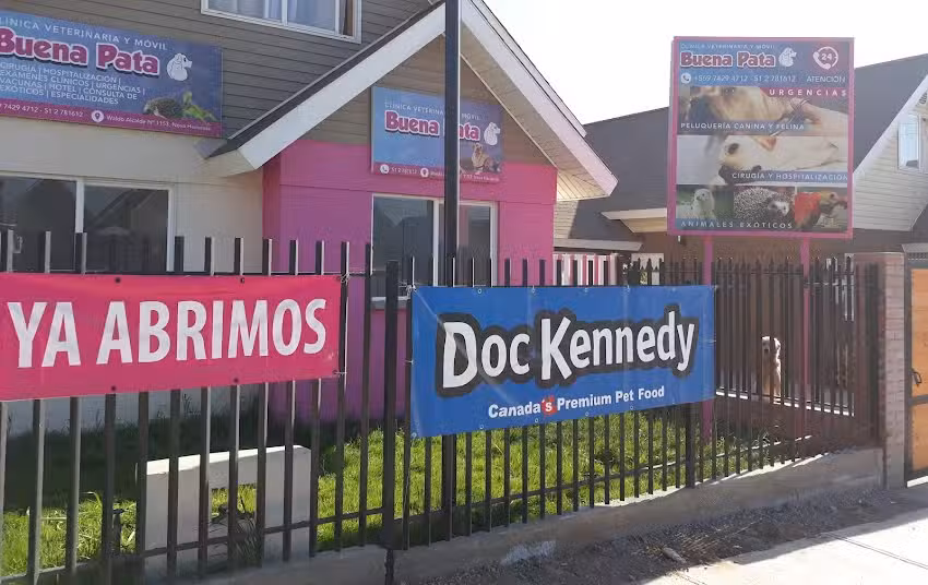 Cl&iacute;nica Veterinaria Buena Pata