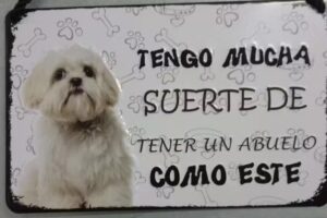 Cl&iacute;nica Veterinaria Buenos Cachorros