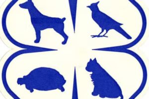 Clinica Veterinaria California