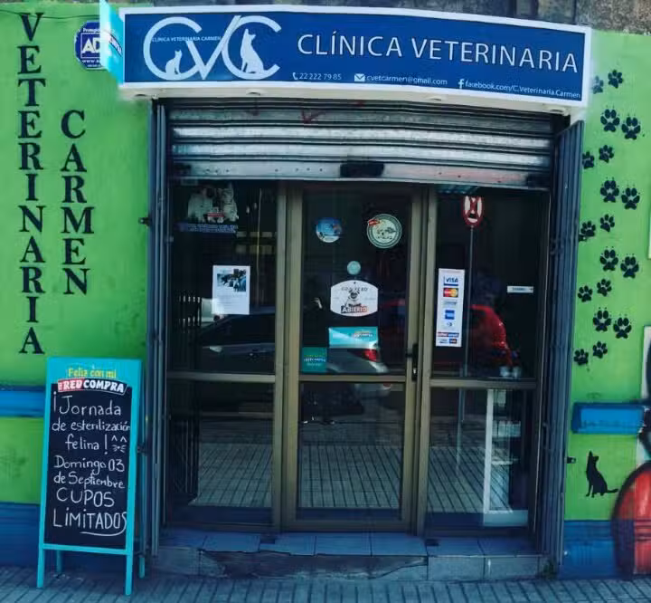 Cl&iacute;nica Veterinaria Carmen