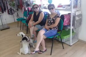 Clínica Veterinaria Carranza