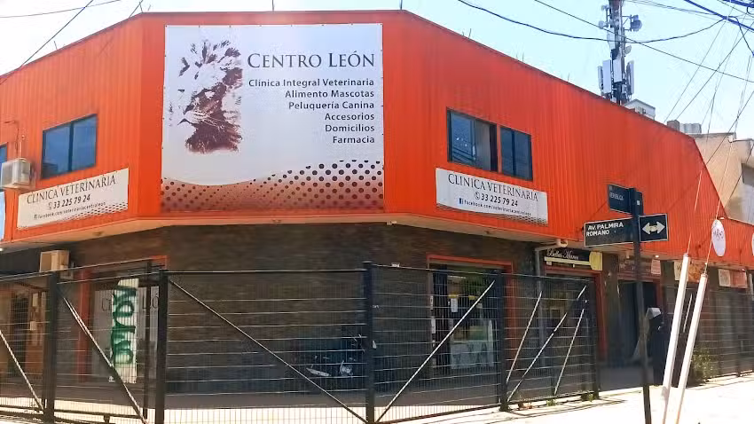 Cl&iacute;nica Veterinaria Centro Le&oacute;n Limache