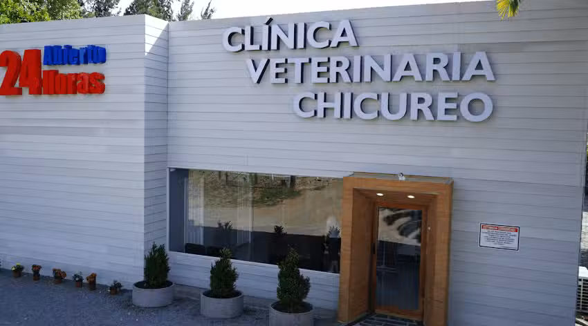 Clinica Veterinaria Chicureo