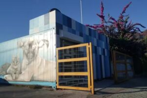 Clinica veterinaria Chiguayante