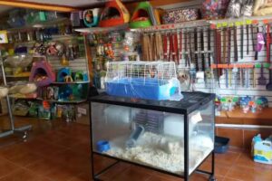 Clinica Veterinaria Coquimbo