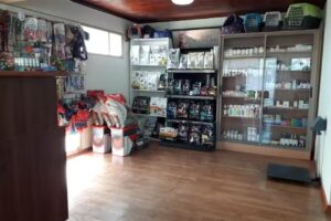 Cl&iacute;nica Veterinaria Doctora Paola chelsi