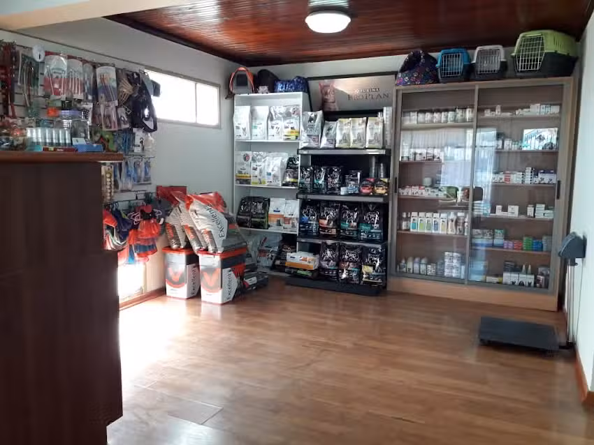 Cl&iacute;nica Veterinaria Doctora Paola chelsi