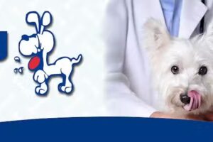 Cl&iacute;nica Veterinaria Dogtor
