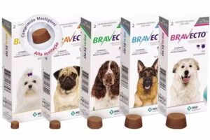 Clinica Veterinaria Dr. Roy