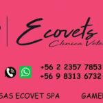 Cl&iacute;nica Veterinaria ECOVETS