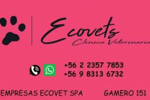Cl&iacute;nica Veterinaria ECOVETS