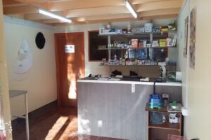 Clinica Veterinaria El Arriero