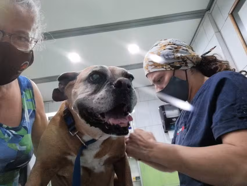 Clinica Veterinaria El Valle