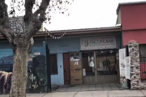 Clinica Veterinaria FACUNUMA