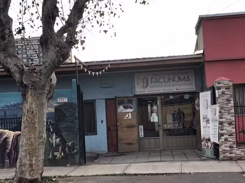 Clinica Veterinaria FACUNUMA