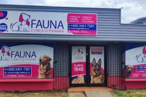 Cl&iacute;nica Veterinaria Fauna