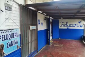 Clinica Veterinaria Felycan
