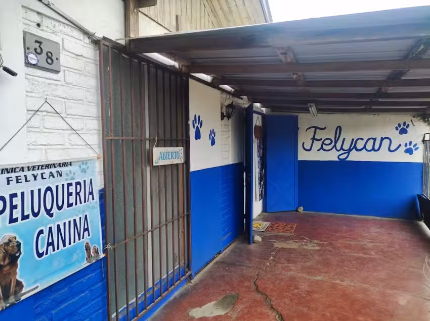 Clinica Veterinaria Felycan