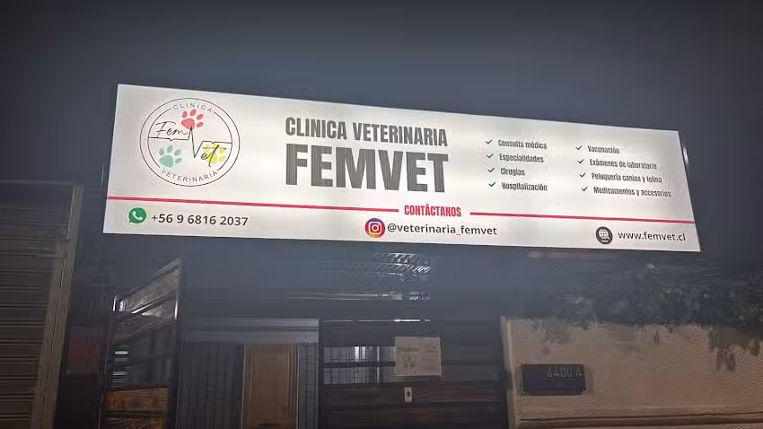 Clinica veterinaria FemVet