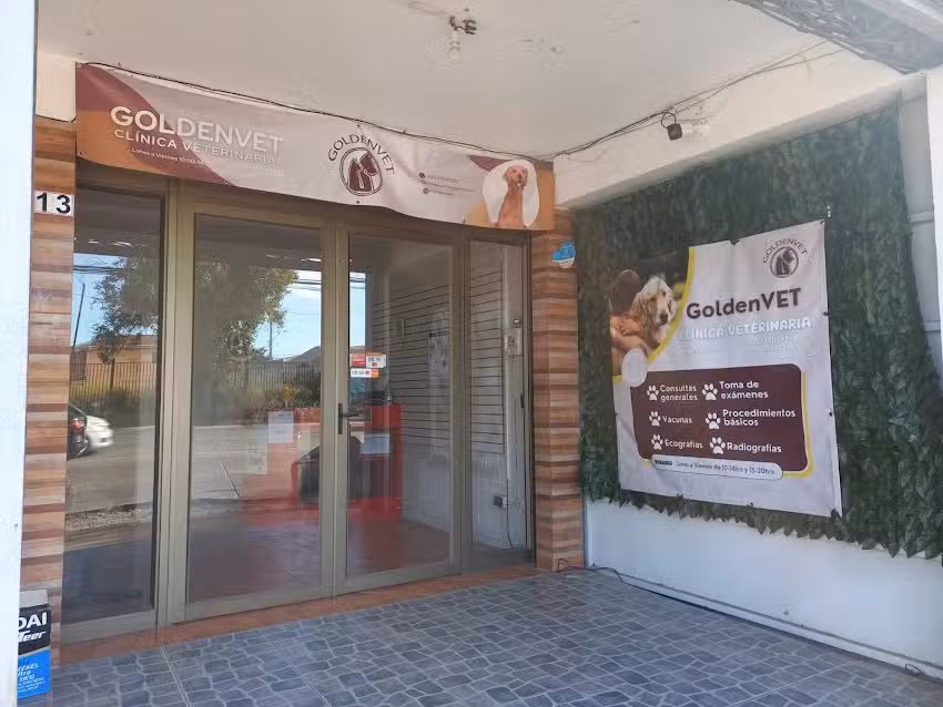 Cl&iacute;nica Veterinaria Goldenvet