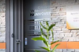 Cl&iacute;nica Veterinaria Hannover.