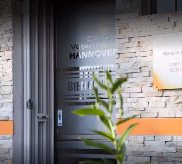 Cl&iacute;nica Veterinaria Hannover.