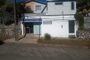 Clinica Veterinaria Honu