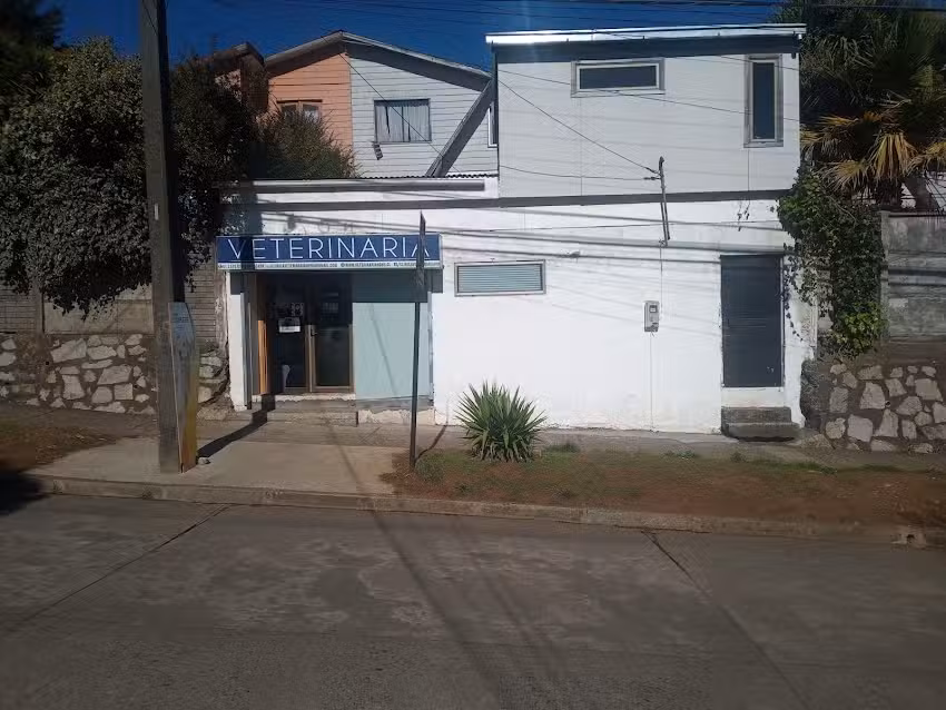 Clinica Veterinaria Honu