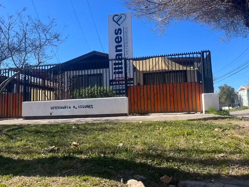 Cl&iacute;nica Veterinaria Illanes