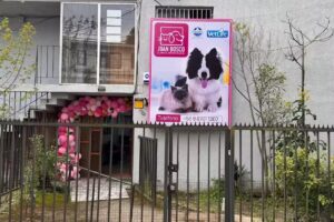 Clínica Veterinaria Juan Bosco