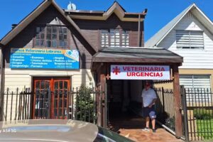 Clinica veterinaria labranza