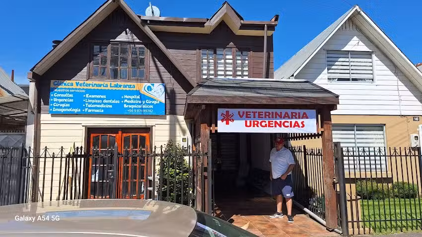 Clinica veterinaria labranza