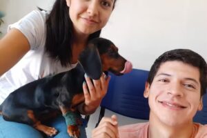 Clínica Veterinaria Las Nieves