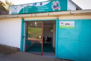 Cl&iacute;nica Veterinaria Las Princesas s&oacute;lo presta servicios a domicilios