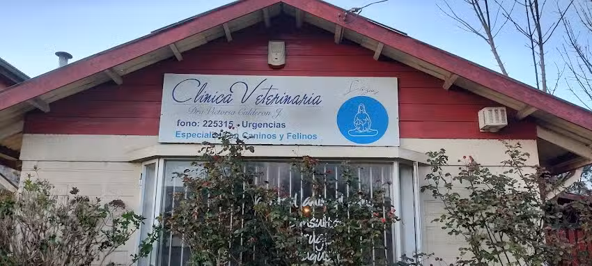 Cl&iacute;nica veterinaria Lazos