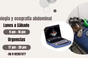 Clinica Veterinaria Los Quillayes