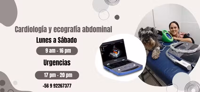 Clinica Veterinaria Los Quillayes