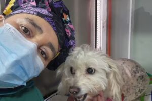 Clinica Veterinaria Los Robles