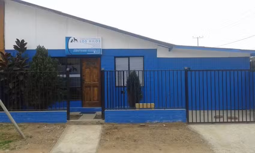 Cl&iacute;nica Veterinaria Los Vilos
