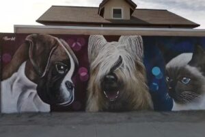 Clinica Veterinaria M&C