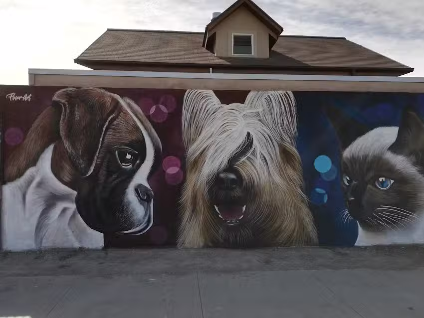 Clinica Veterinaria M&C