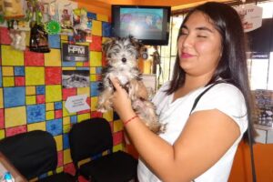 Cl&iacute;nica Veterinaria Master Pet