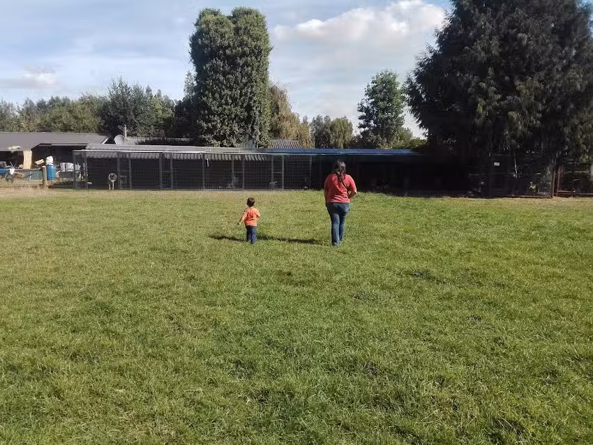 Cl&iacute;nica Veterinaria Metrenco, Temuco, La Araucan&iacute;a