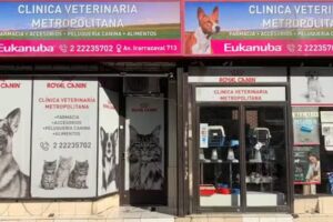 Cl&iacute;nica Veterinaria Metropolitana