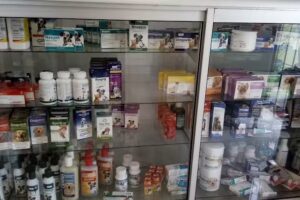 Cl&iacute;nica Veterinaria Mi Mascota