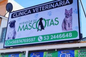 Clínica veterinaria Mirador de Mascotas