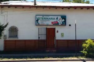 Cl&iacute;nica Veterinaria MovilVet